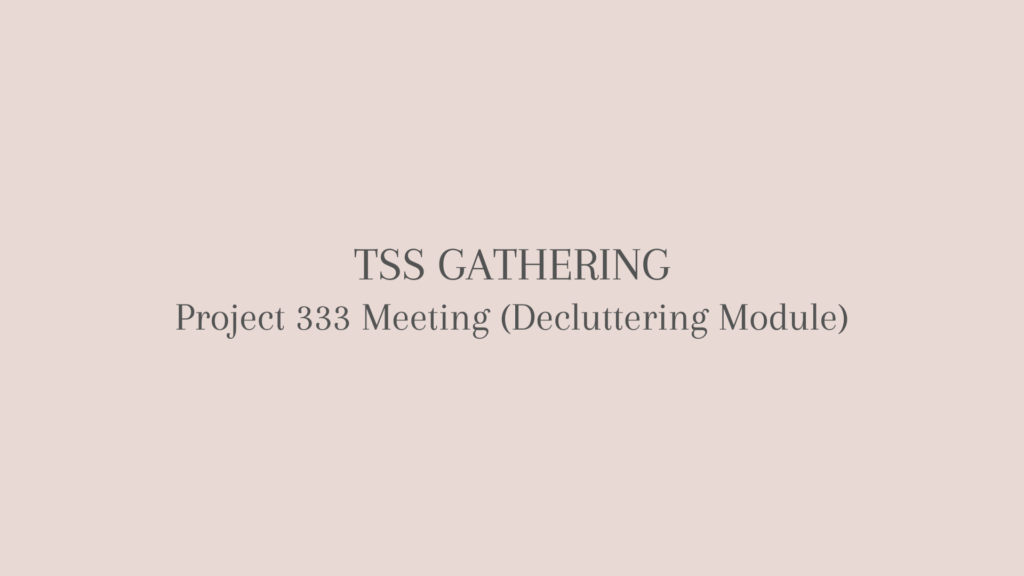 Project 333 Meeting (Decluttering Module) title